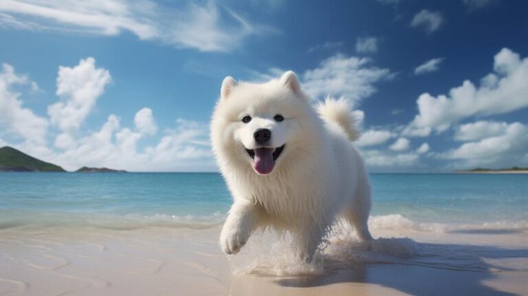 Is Samoyed a friendly dog?