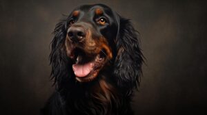 Is a Gordon Setter a healthy dog?