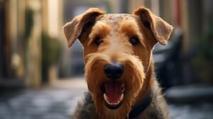 What foods does an Airedale Terrier love?